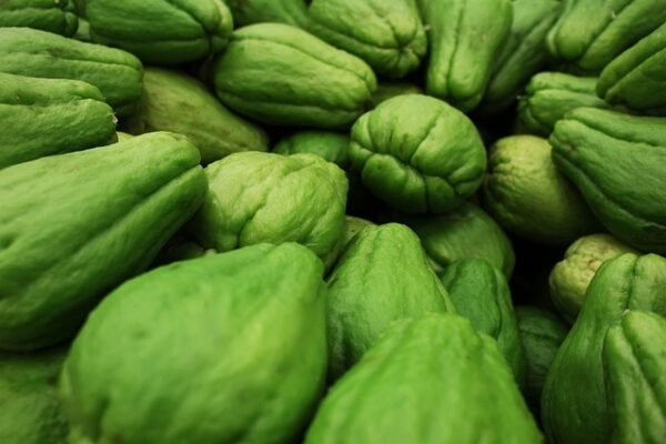"Chayote: Un Remedio Natural para Aliviar el Dolor Articular y Fortalecer las Articulaciones y mas "